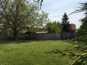 Zahrada ubytování Csók Apartmanház
