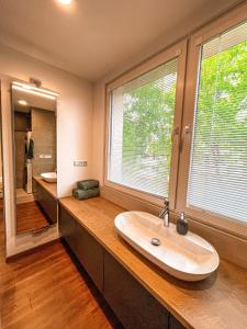 baño con lavabo y ventana grande en Vantisch Apartment en Vlašim