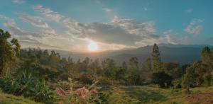 a sunset over a forest of trees in a field at Hotel Campestre Buena Vista in Garagoa +7 photos