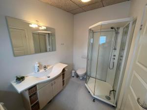 a bathroom with a sink and a shower at Kang Apartment in Nuuk