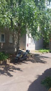 a motorcycle parked next to a building under a tree at Apartman Milica in Vršac