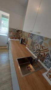 eine Küche mit einer Spüle und einer Arbeitsplatte in der Unterkunft Apartman Milica in Vršac
