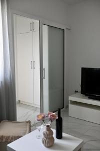 TV a/nebo společenská místnost v ubytování Golden Neretva apartments