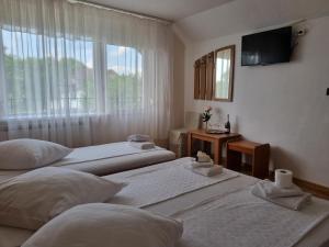 Habitación de hotel con 2 camas y ventana en Pensiunea Coca, en Băile Felix