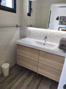 ein Bad mit einem Waschbecken und einem Spiegel in der Unterkunft Joli havre de paix in Prades-le-Lez