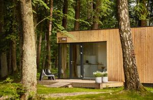 a building in the middle of a forest with a chair at Kaletka - cisza i przyroda in Iława