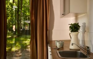 eine Küchentheke mit einem Waschbecken und einem Fenster in der Unterkunft Kaletka - cisza i przyroda in Iława