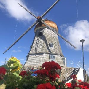 un molino de viento con flores rojas delante de él en Kvarnen Pensionat och Restaurang en Falkenberg