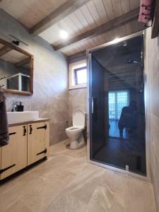 uma casa de banho com um chuveiro, um WC e um lavatório. em TOŁHAJÓWKA em Strzebowiska