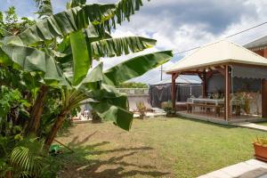 a garden with a gazebo and a banana tree at Villa Sun and Sea in Deshaies