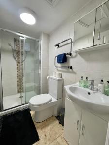 カーディフにある8 Person, 4 Bedroom Light, Warm & Modern Apartmentのバスルーム(トイレ、洗面台、シャワー付)