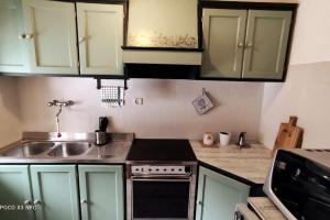 法尔西德Mansarda dell'orso的厨房配有绿色橱柜和水槽 更多14张照片