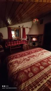 a bedroom with a large bed and a fireplace at Mansarda dell'orso in Falcade