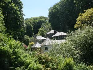 a white house in the middle of a forest at Mill Cottage in Tintagel
