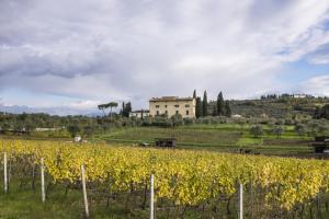 a vineyard with a building and a field of yellow flowers at La Capannaccia in Scandicci