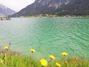 Paesaggio naturale nelle vicinanze dell'affittacamere