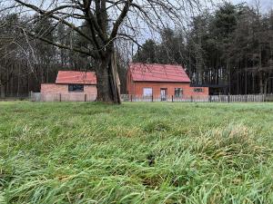 eine rote Scheune auf einem Feld neben einem Baum in der Unterkunft De Bovenbuur in Lummen