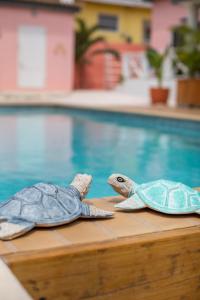 two turtles sitting on a table next to a pool at Happy Curoase in Willemstad