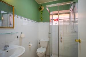 y baño con aseo, lavabo y ducha. en Happy Curoase, en Willemstad