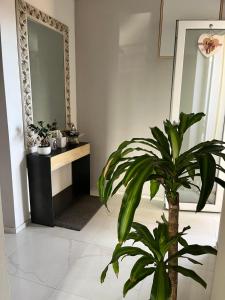 ein Badezimmer mit einem Spiegel und einer Pflanze in der Unterkunft Appartamento Loc.Ponterosso in Pietrasanta