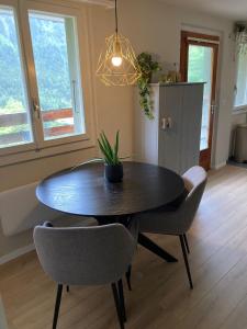 una mesa de comedor con sillas y una maceta. en Haus Leopold, en Breiten
