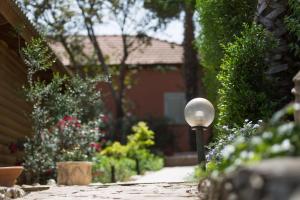 Κήπος έξω από το אביב בכרם - בקתות כפריות מקסימות עם ג'קוזי מול נוף מדהים