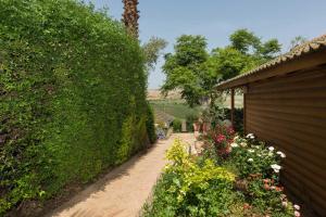 Κήπος έξω από το אביב בכרם - בקתות כפריות מקסימות עם ג'קוזי מול נוף מדהים