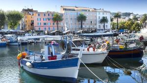 un groupe de bateaux amarrés dans un port avec des bâtiments dans l'établissement Superbe T2 calme & confortable - très bien situé!, à Ajaccio
