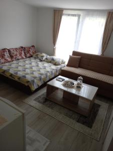 ein Wohnzimmer mit einem Bett und einem Couchtisch in der Unterkunft MALA KUCA in Foča