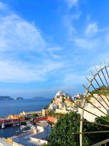 a view of a city with a ferris wheel at Maridea - Camere con vista al Porto in Ponza
