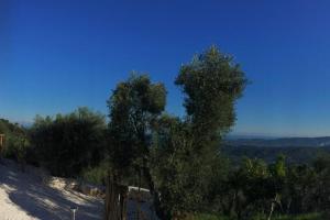 Gallery image of Casa San Valentino in Vico del Gargano