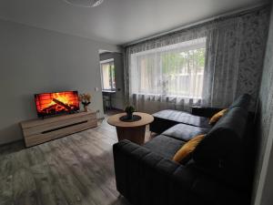 a living room with a couch and a tv at Miesto šviesų apartamentai Telšiuose in Telšiai