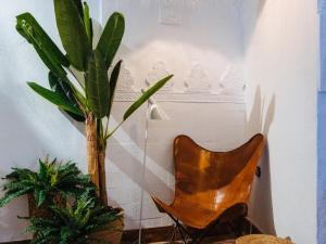 uma cadeira e uma planta num quarto em Casa Patio Los Sueños de Daury I em Córdoba