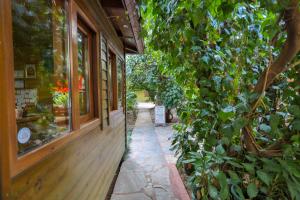 Φωτογραφία από το άλμπουμ του Çıralı Orange Motel σε Cıralı +26 φωτογραφίες