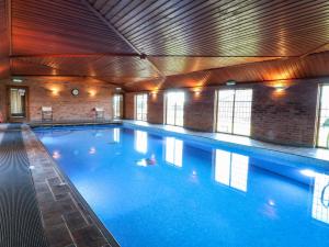 a large swimming pool in a building at Adelaide Cottage in Ashbourne