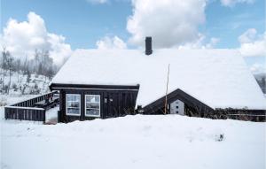 una casa con la neve sul tetto di Gorgeous Home In Gol With House A Mountain View a Gol