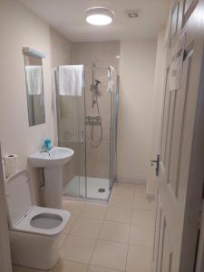 een badkamer met een douche, een toilet en een wastafel bij The Courtyard Apartments in Carrick on Shannon