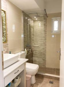 y baño con aseo, lavabo y ducha. en Aegean breeze apartment en Kárpatos