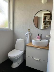 a bathroom with a toilet and a sink and a mirror at Wellness - Vildmarksbad og “shelter” in Sabro