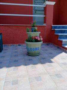 two potted plants sitting in front of a building at maria corfu apartments in Mesongi