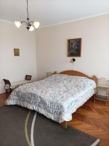 ヘーヴィーズにあるLázár Apartmanokのベッドルーム1室(大型ベッド1台付)