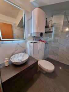 a bathroom with a sink and a toilet and a shower at Apartman Katarina Promajna in Promajna