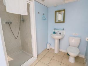 a bathroom with a shower and a toilet and a sink at Stardust in Ventnor