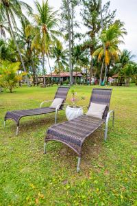 Jardí fora de Sítio Praia dos Carneiros