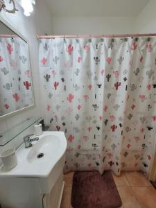 baño con cortina de ducha y lavamanos en ¡Hermoso departamento Bs As! en Buenos Aires