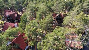 Vue de tête d'un groupe de maisons dans une forêt dans l'établissement NAVIGATOR Energetyk, à Rowy