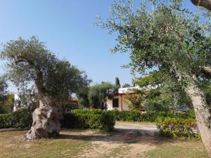 A garden outside Agriturismo Villa Tommaso