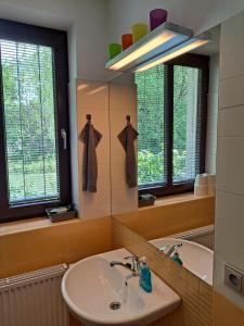 a bathroom with a sink and a mirror at Penzion Na Pohoři in Olešnice