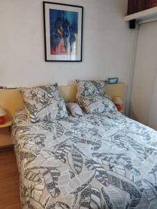 聖馬洛的住宿－chambre d'hote dans maison individuelle，卧室内的一张带被子和枕头的床
