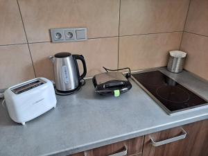 Kuchyňa alebo kuchynka v ubytovaní Penzion Na Pohoři